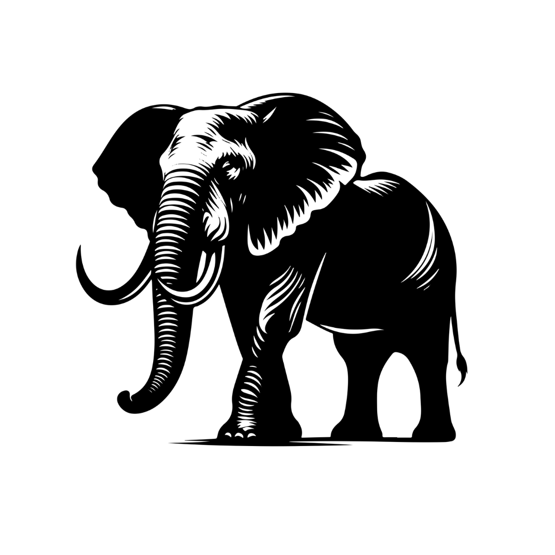 Majestic Elephant | Elephant Metal Wall Art crafted from premium laser-cut steel with a durable powder-coated finish.