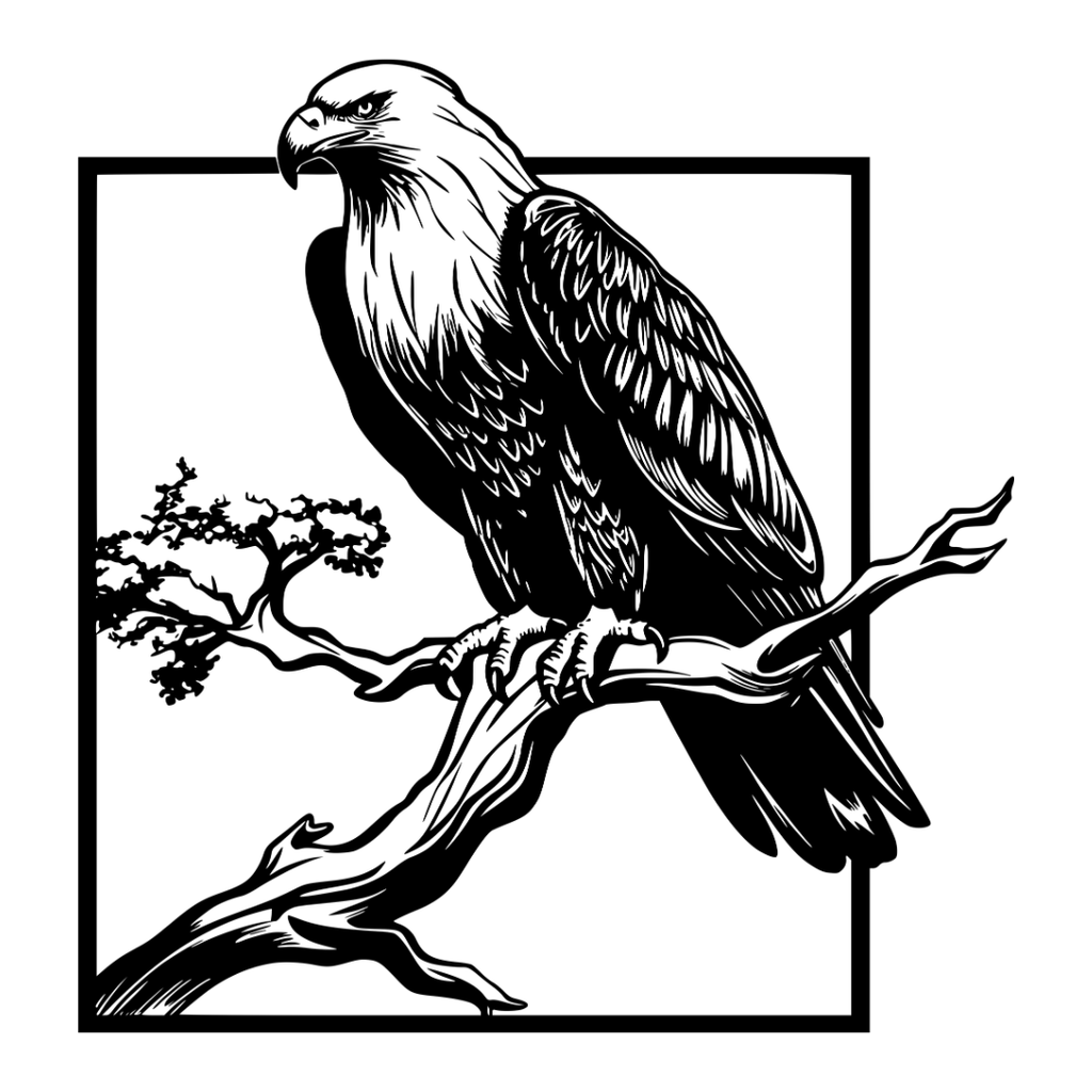 Silent Guardian bald eagle metal wall art isolated on a white background showing a majestic eagle perched on a branch