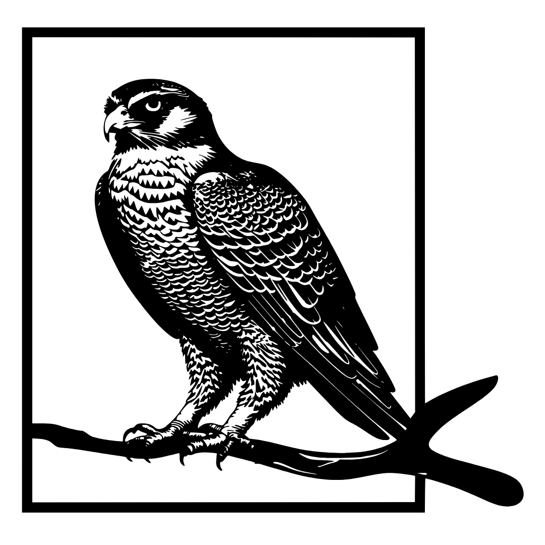 Wings of Freedom falcon metal wall art on a white background