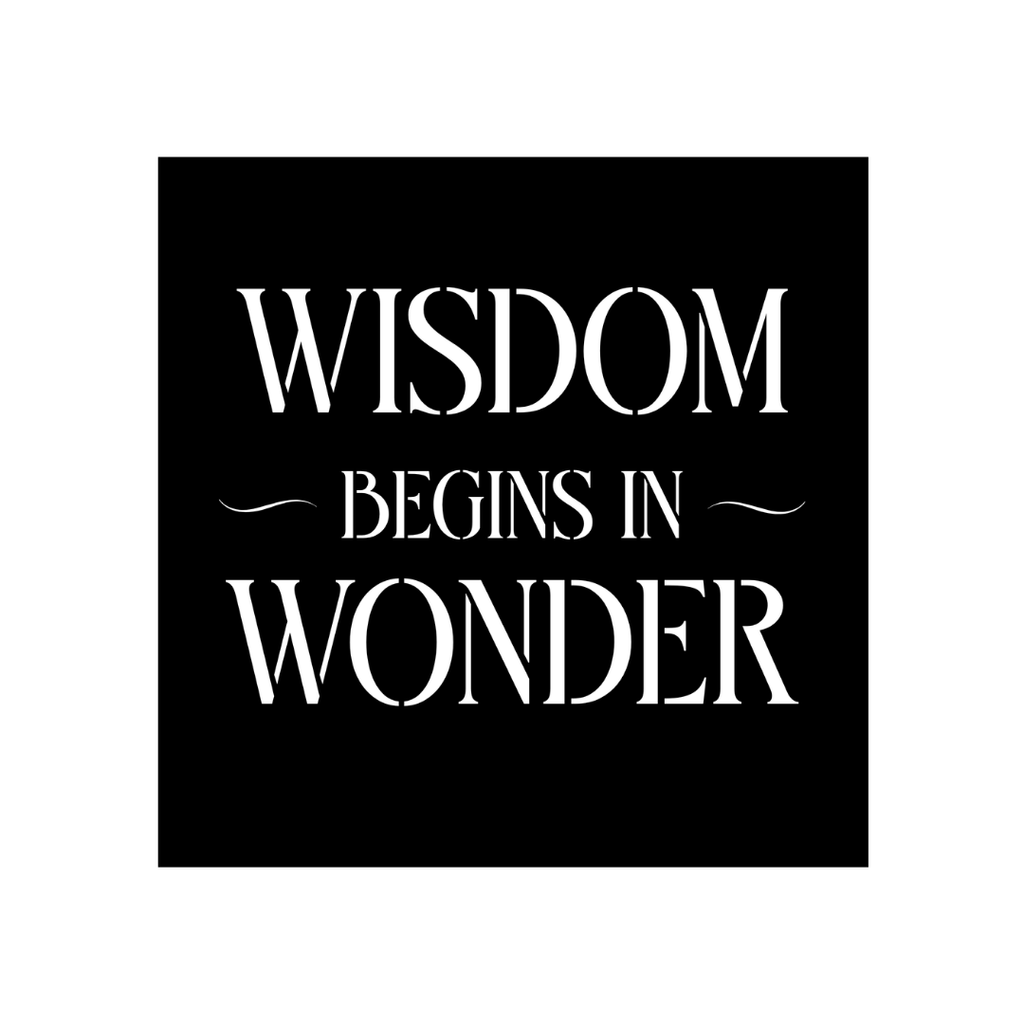 Wonder Begins Within | Inspirational Quote Metal Wall Art crafted from premium laser-cut powder-coated steel.